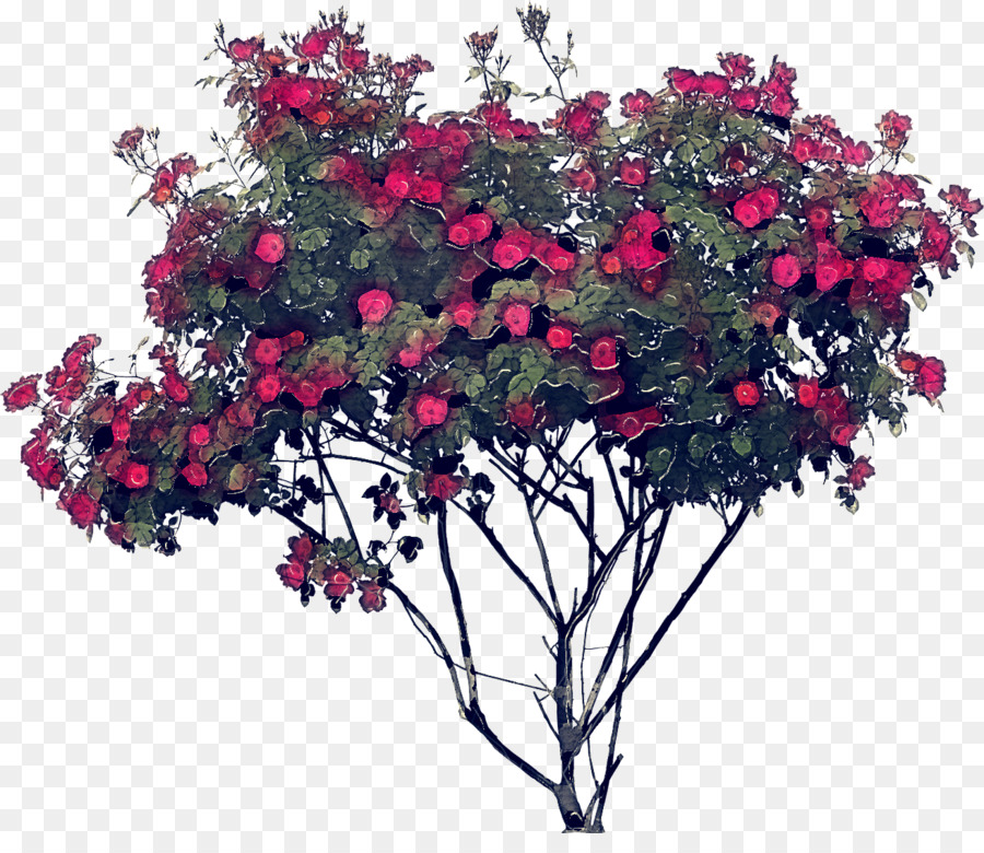 Arbre Pleureur，Fleurs PNG