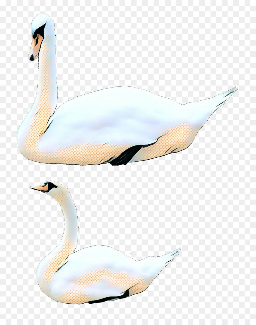 Oie，Canard PNG