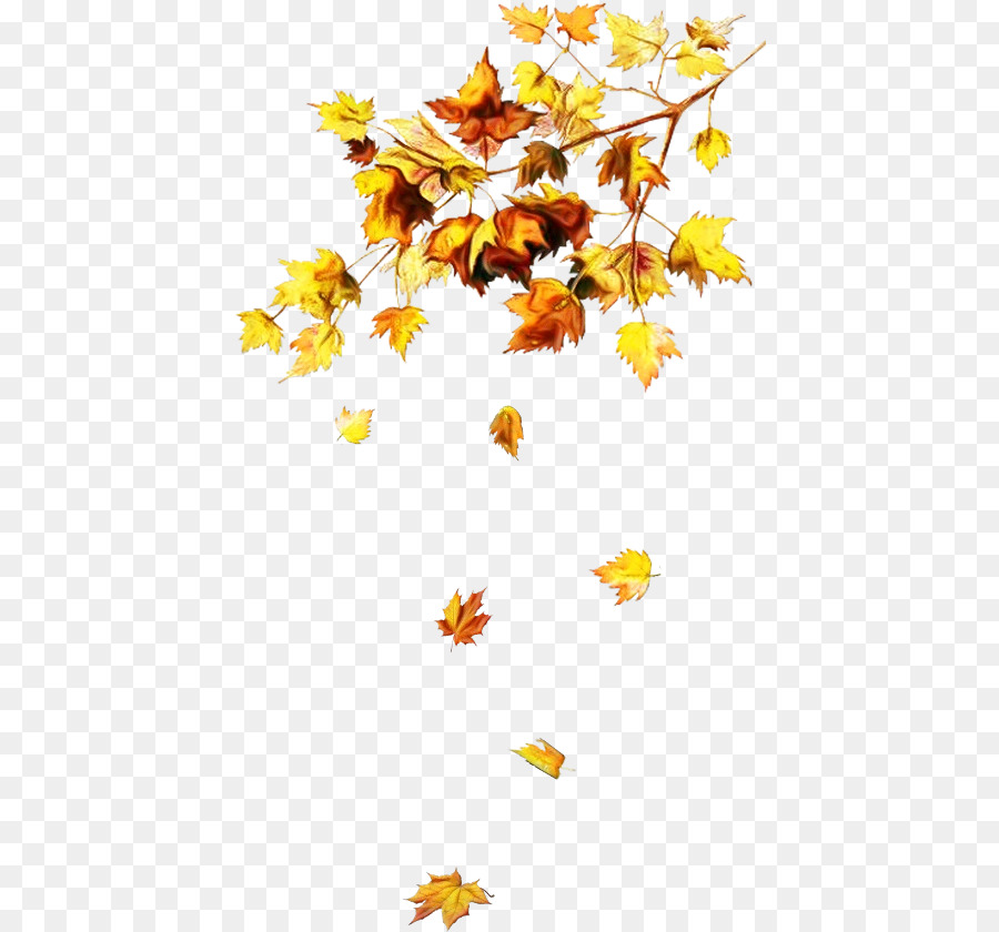 Feuilles D'automne，Automne PNG