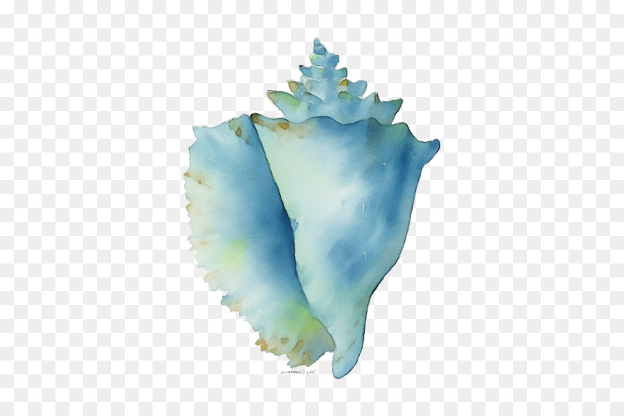 Conque，Blanc PNG