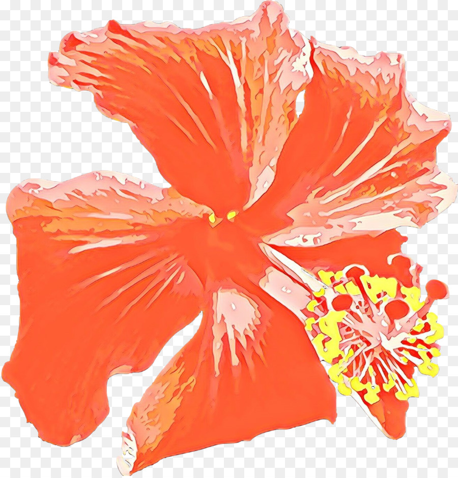 Rosemallows，Les Fleurs Coupées PNG