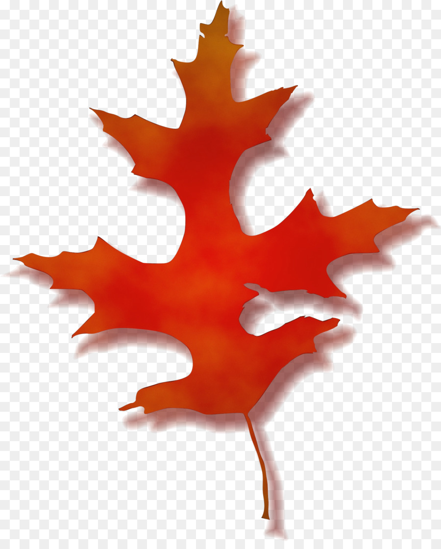 Feuille Rouge，Automne PNG