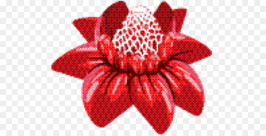 Rouge Framboise，Les Fleurs Coupées PNG