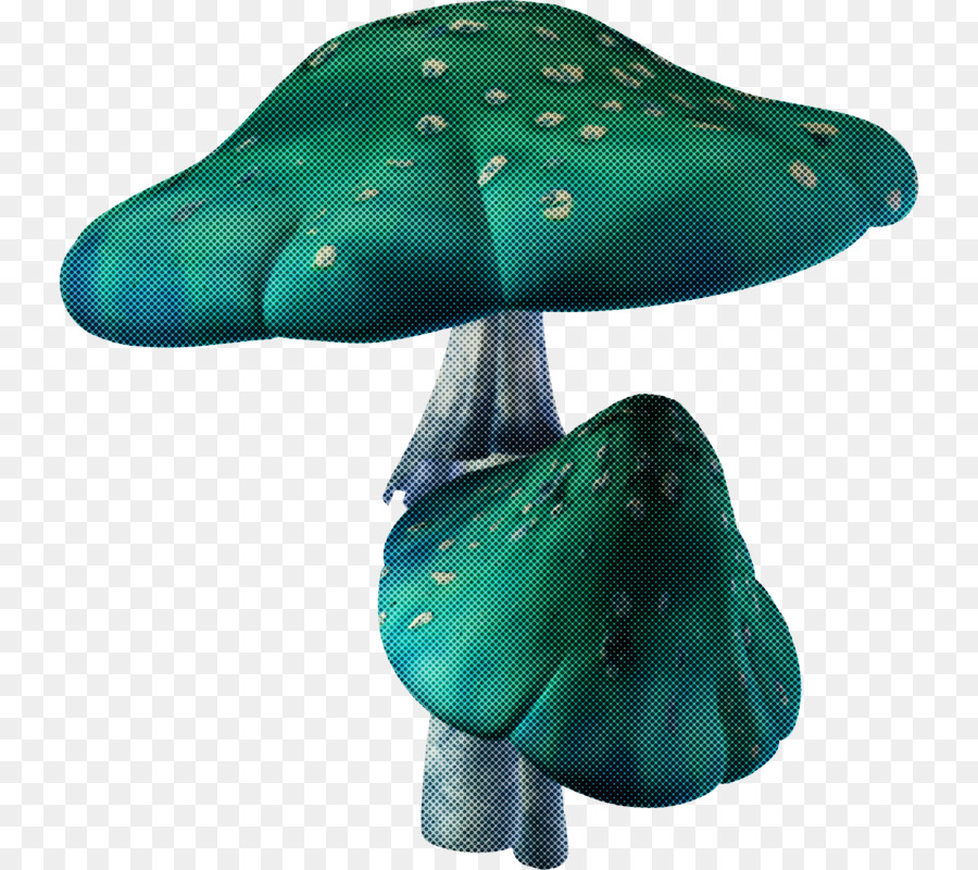 Turquoise，Champignons PNG