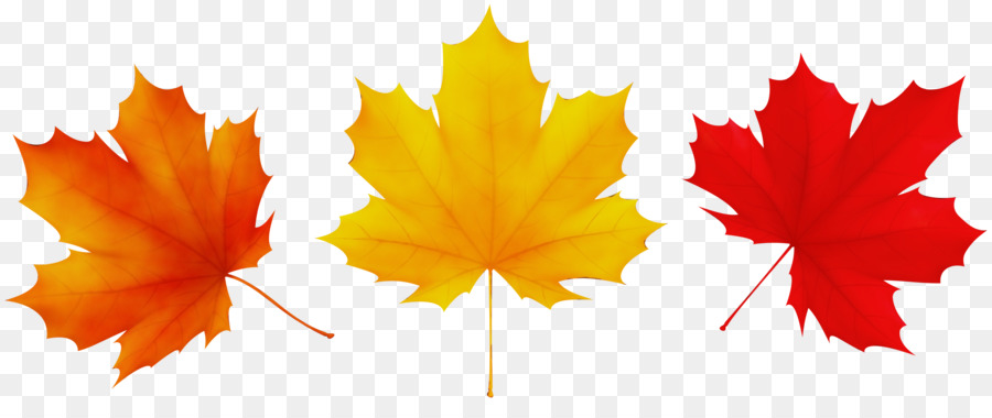 Feuilles D'automne，Automne PNG