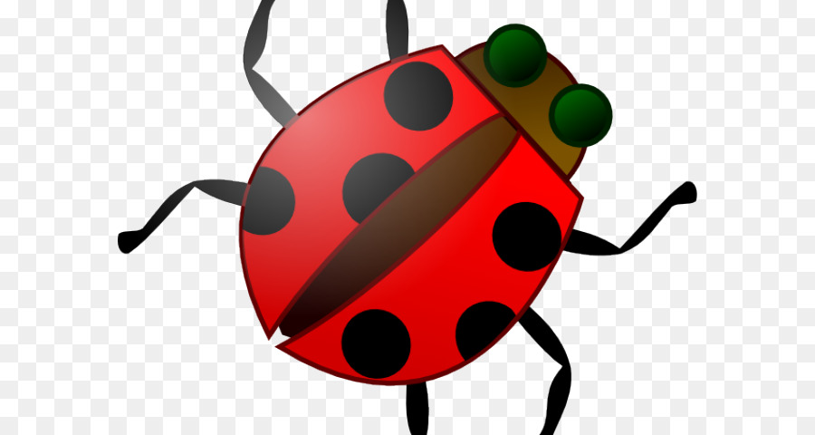 Coccinelle，Bogue PNG