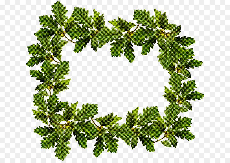 Cadre Feuille Verte，Feuilles PNG