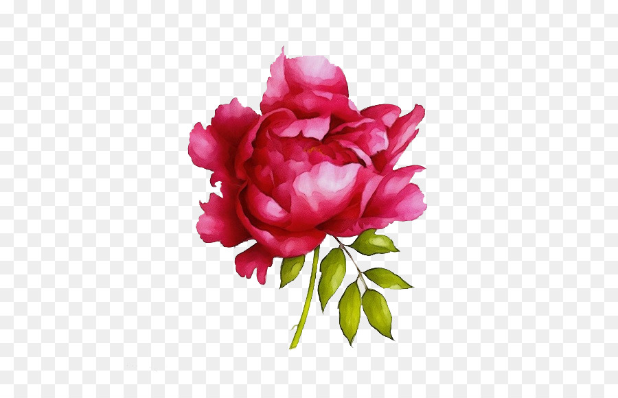 Fleurs Roses，Fleurir PNG