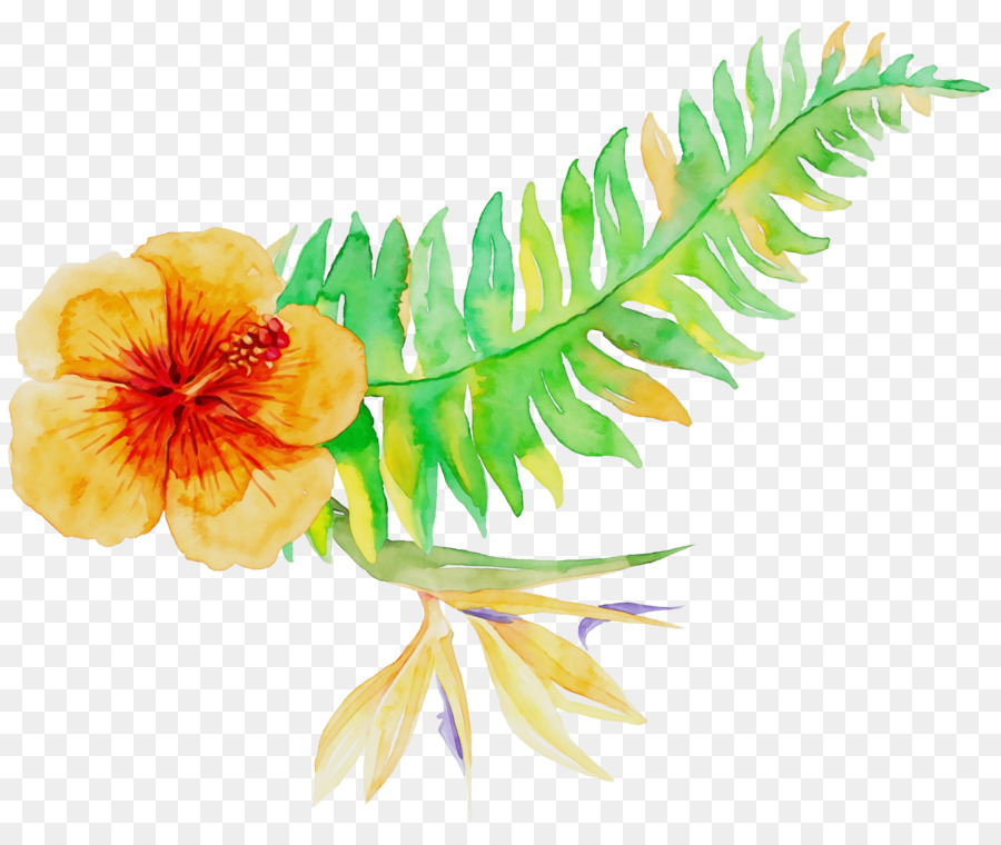 Pétale，Les Fleurs Coupées PNG