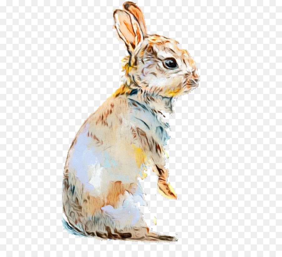 Lapin Mignon，Lapin PNG