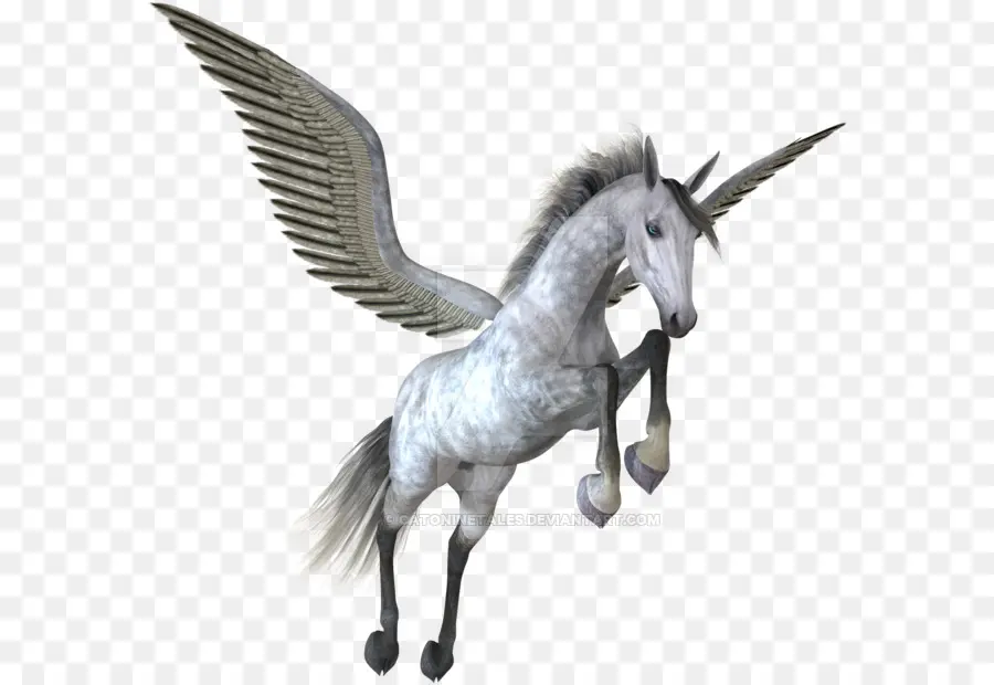 Pegasus，Licorne PNG