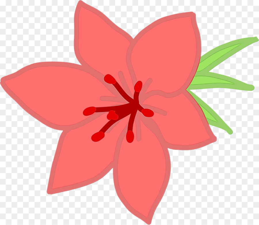 Fleurs，Fleurir PNG