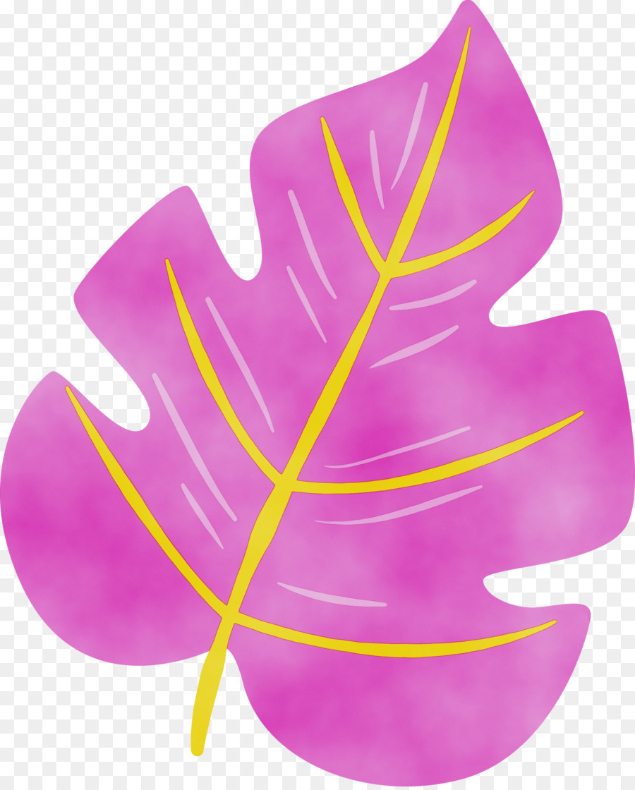 Feuille，Usine PNG