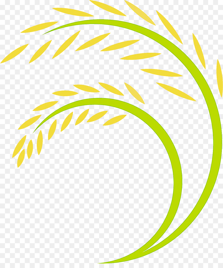 Usine De Riz，Grains PNG