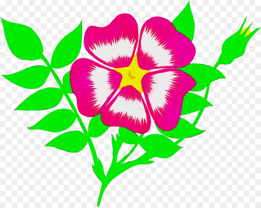 Animation，Fleur PNG