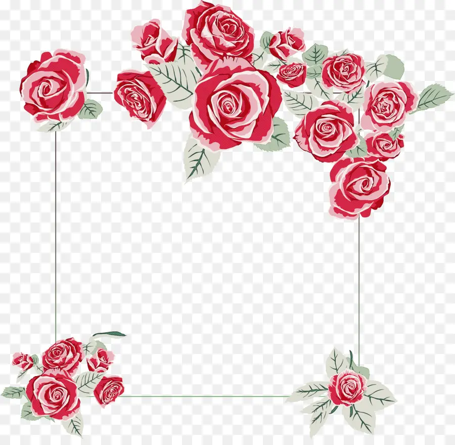 Roses Roses，Fleurs PNG