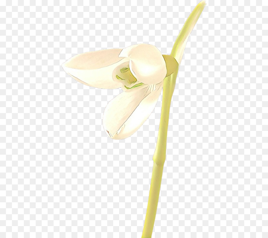 Fleur，Jaune PNG