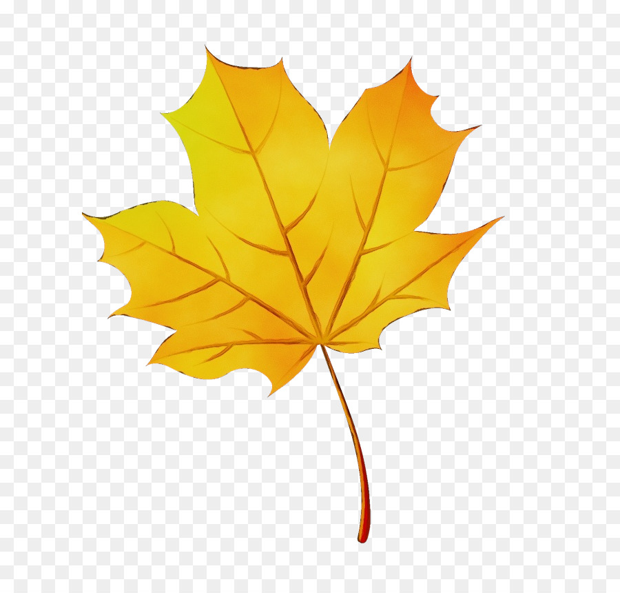 Feuilles D'automne，Automne PNG