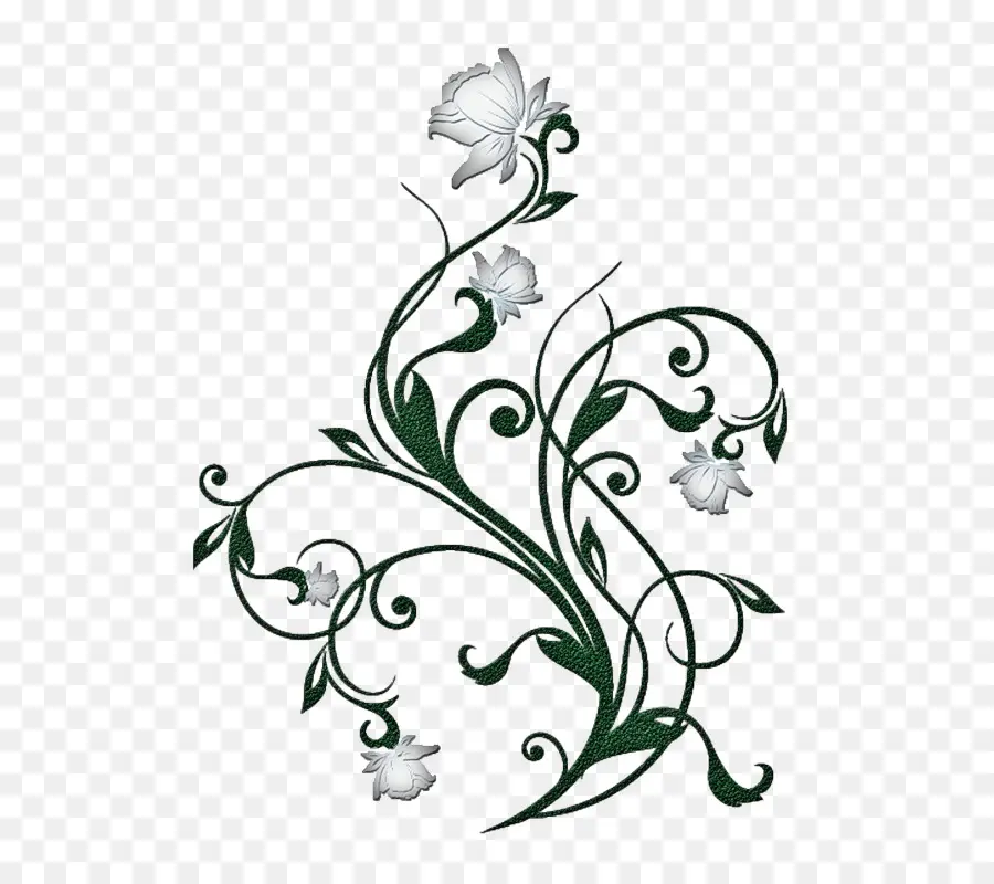 Conception Florale，Fleurs PNG