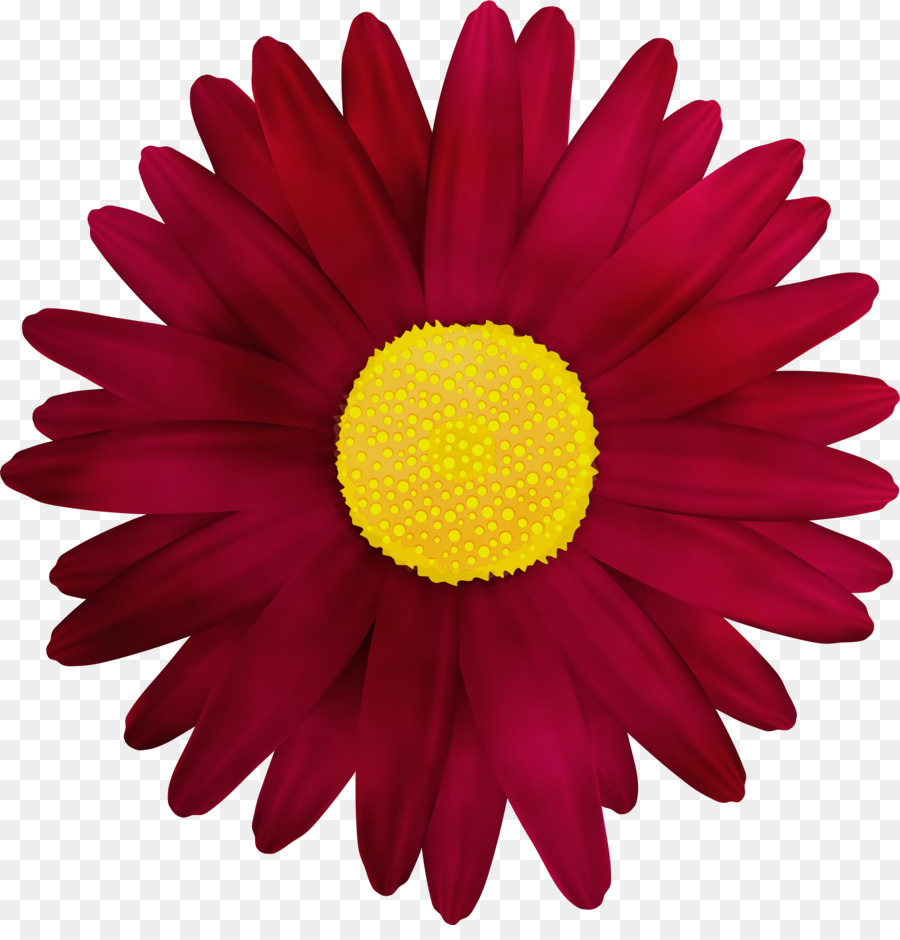 Fleur，Floraison PNG