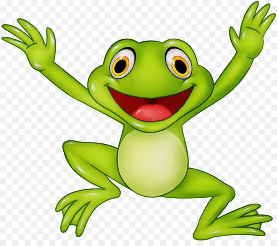 Grenouille Verte，Amphibie PNG