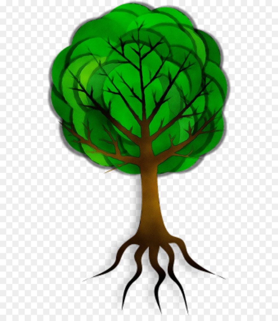 Arbre，Feuilles PNG