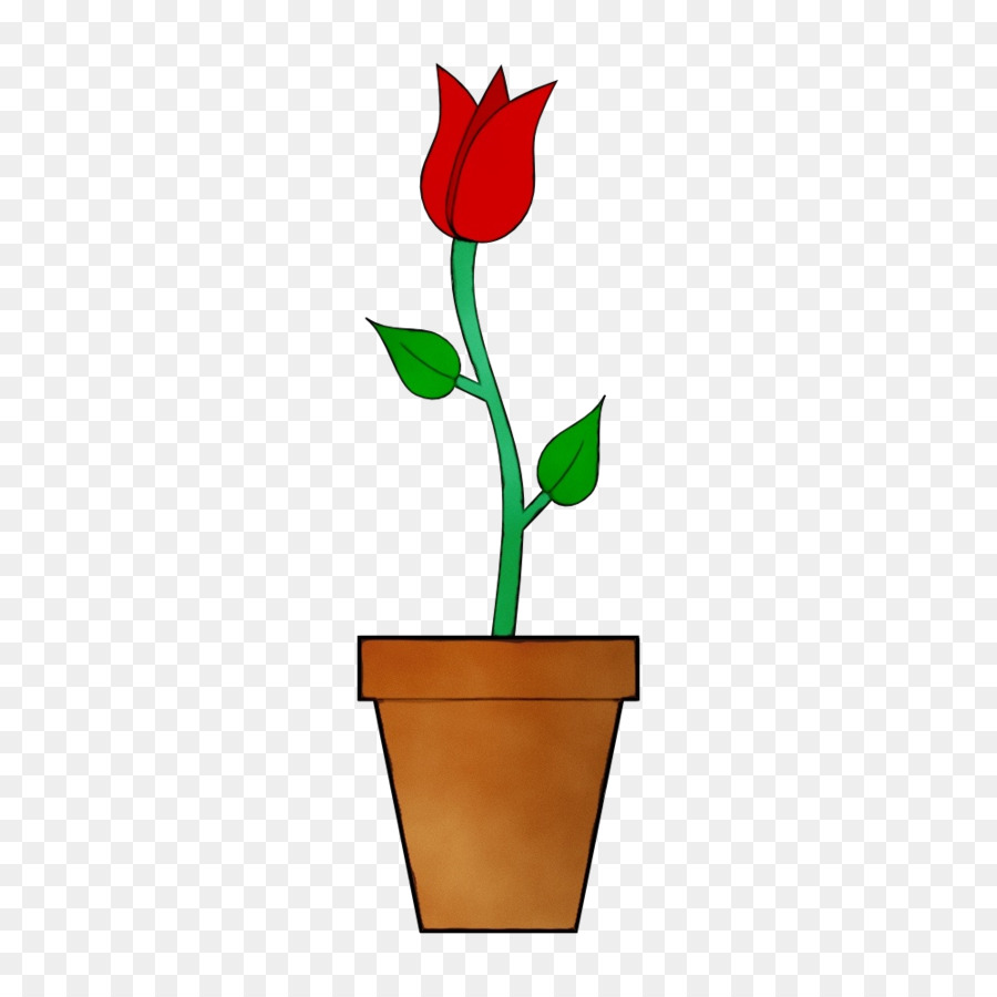 Plante En Pot，Fleur PNG