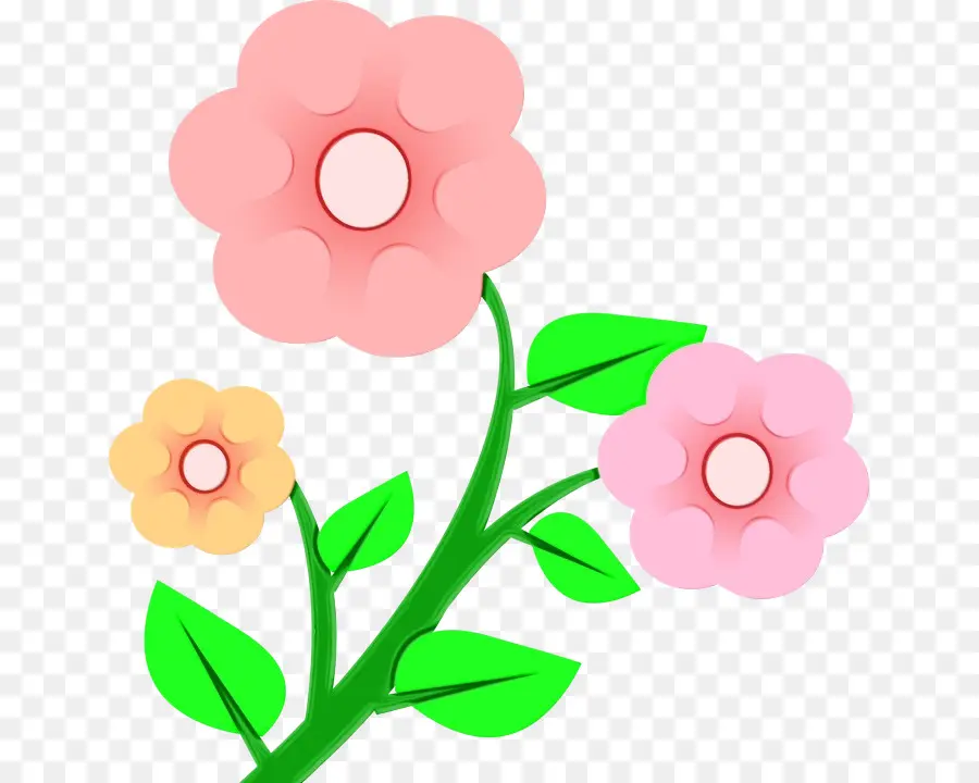 Fleur，Peut PNG