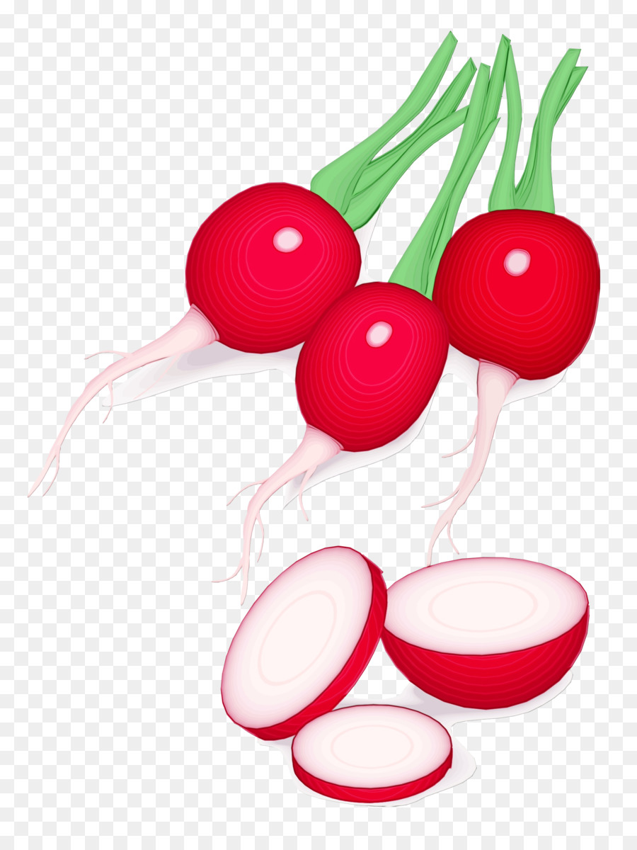 Radis，Légumes PNG