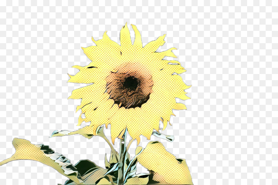 Tournesol Jaune，Feuilles Vertes PNG