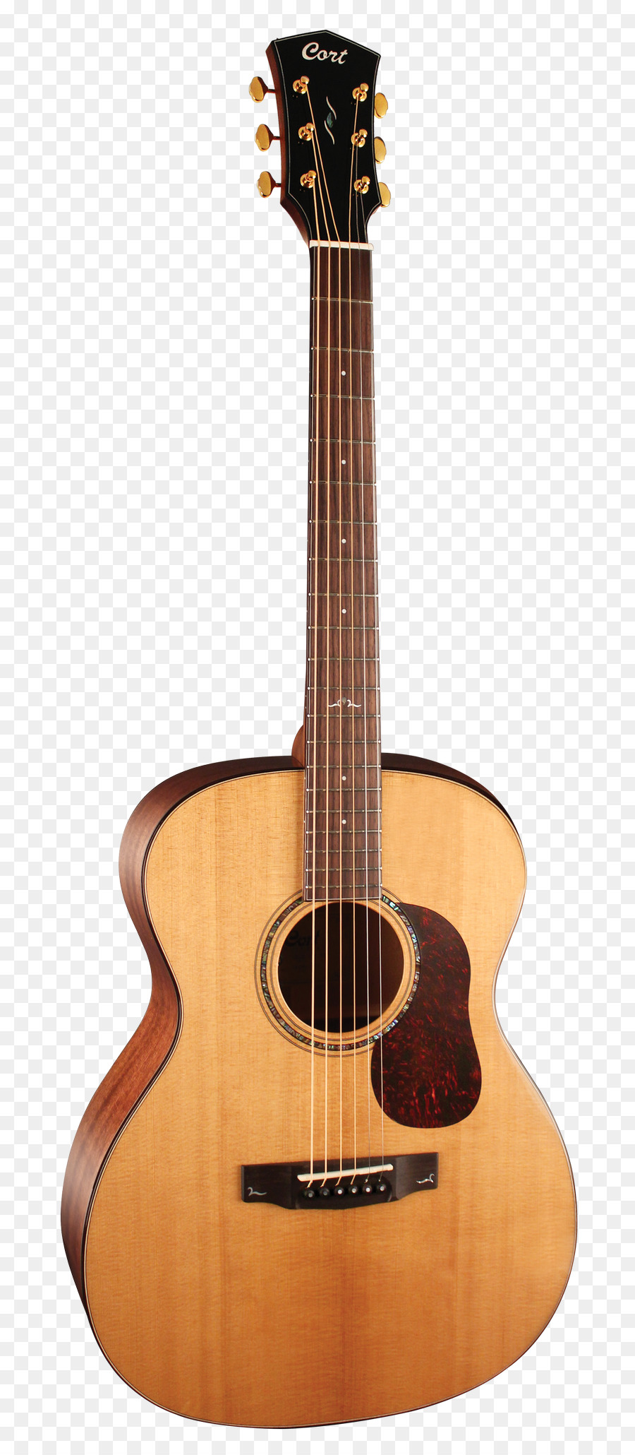 Guitare，Cordes PNG