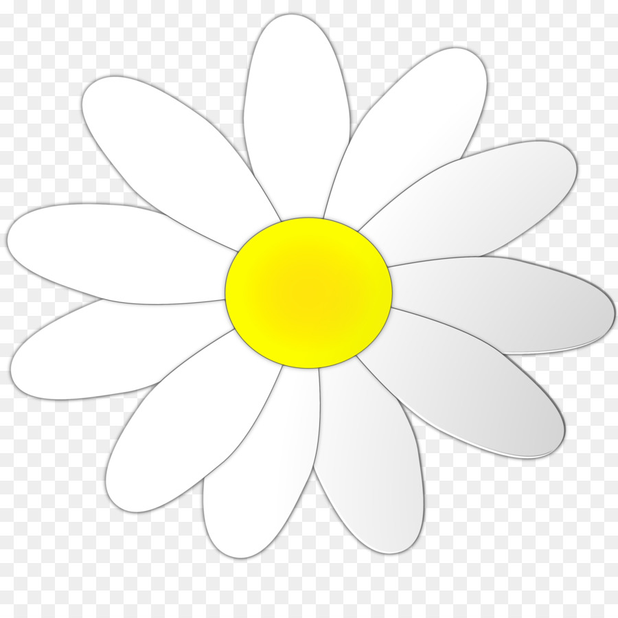 Marguerite，Blanc PNG