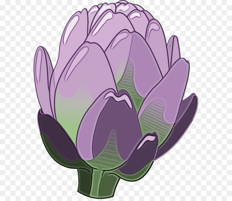 Tulip，Violet PNG