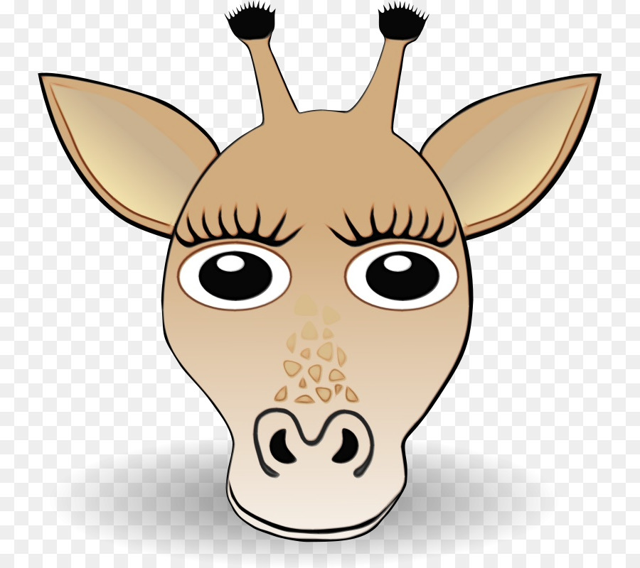 Visage De Girafe，Dessin Animé PNG