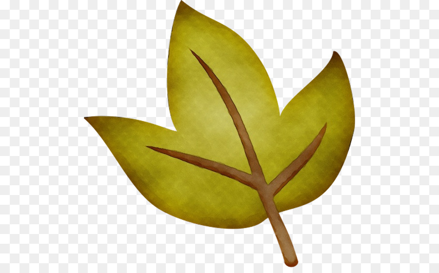 Feuille Jaune，Tige PNG