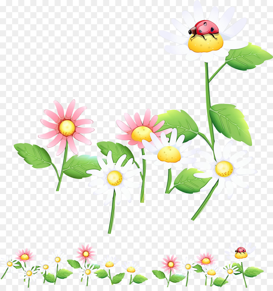 Fleurs，Fleurir PNG