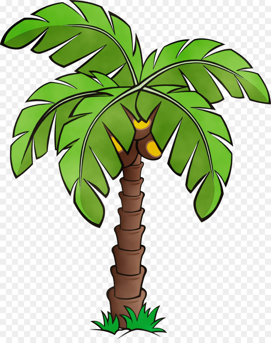 Les Palmiers，Tige De La Plante PNG