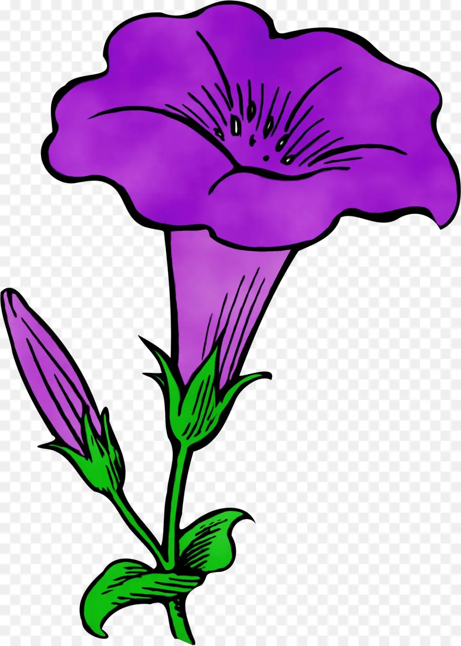 Fleur，Floraison PNG