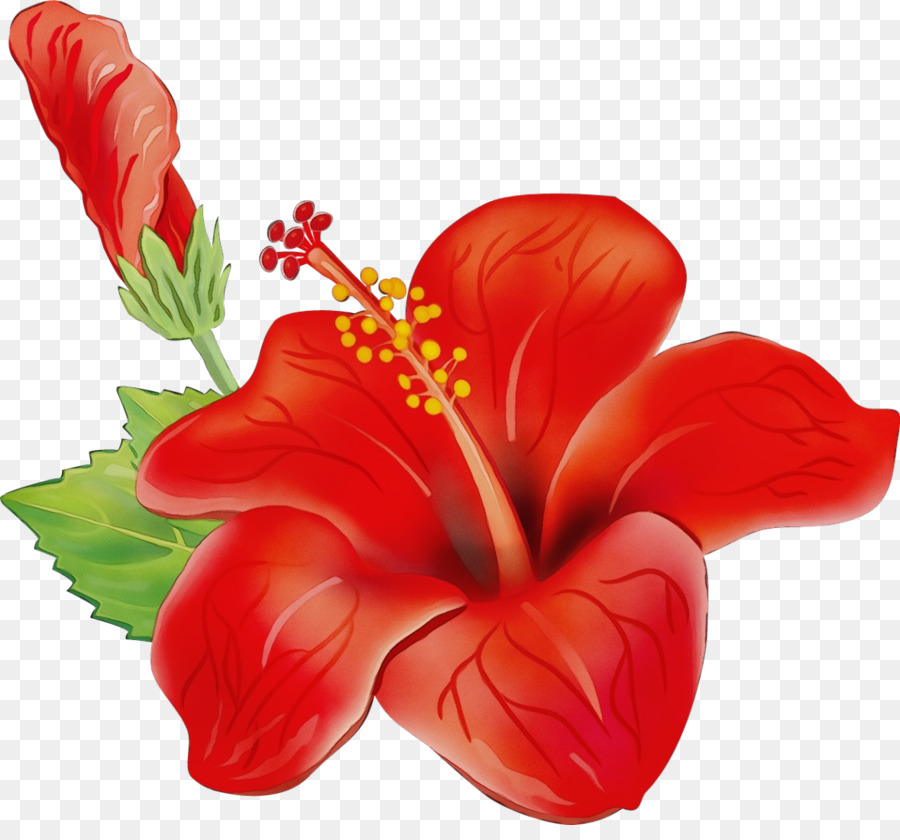 Fleur，Design Floral PNG