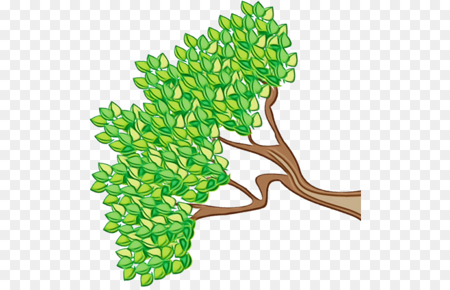 Branche，Tige De La Plante PNG