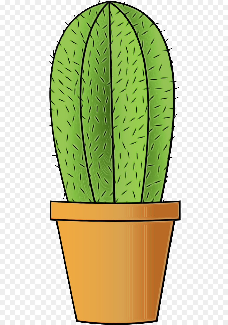 Cactus，Livre De Coloriage PNG