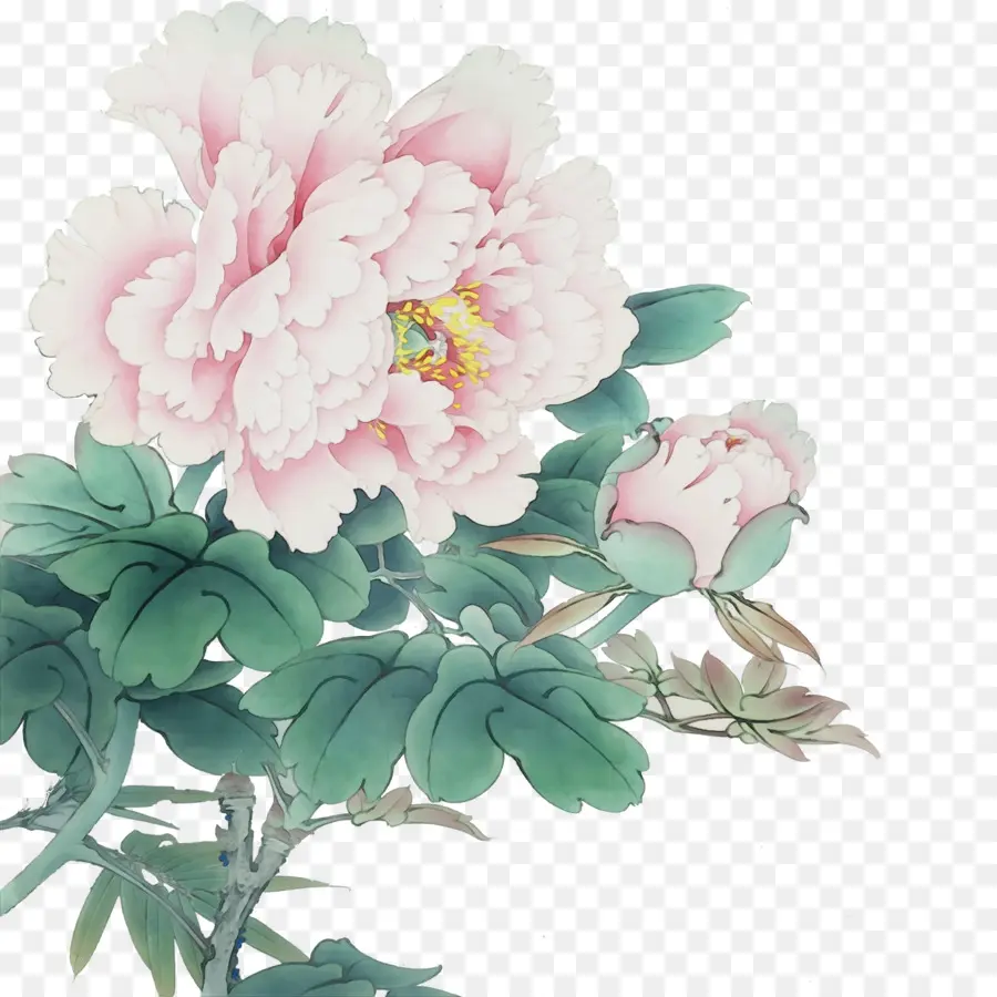 Fleurs De Pivoine，Rose PNG