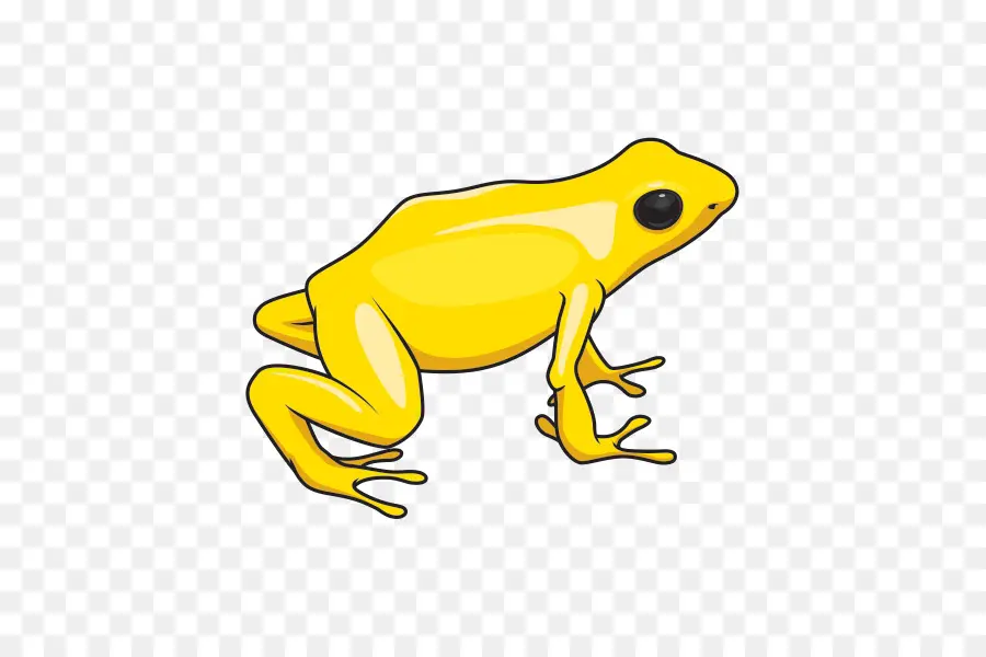 Crapaud，Vrai Grenouille PNG