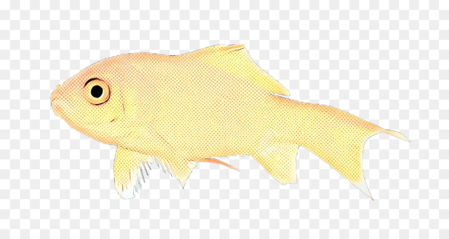 Poisson，Natation PNG