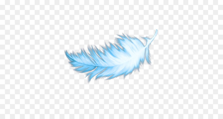 Plume，Blanc PNG