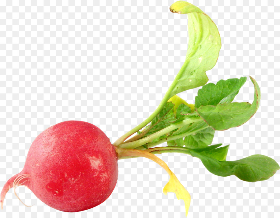 Radis，Légumes PNG
