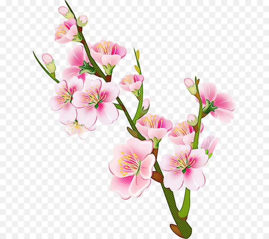 Fleur，La Floraison De La Plante PNG