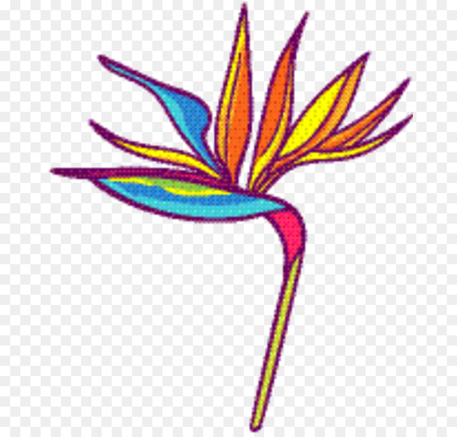 L'oiseau De Paradis，Plante PNG