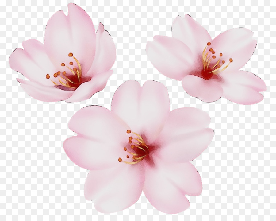 Fleurs，Fleurir PNG