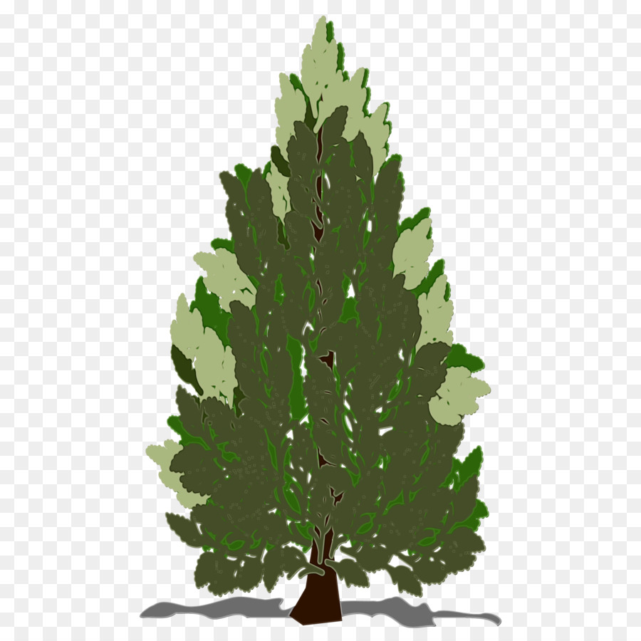 Arbre Vert，Usine PNG